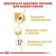 Сухой корм Royal Canin GERMAN SHEPHERD ADULT для взрослых собак породы Немецкая овчарка 11 кг (3182550892759) - изображение 3