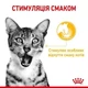 Влажный корм Royal Canin SENSORY TASTE JELLY (Желе) для взрослых кошек привередливых в питании 85 г (9003579018910) - изображение 2