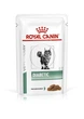 Влажный корм Royal Canin DIABETIC CAT (Кусочки в соусе) для взрослых кошек, регулирование уровня глюкозы при сахарном диабете 85 г (9003579012024) - изображение 1