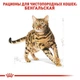 Сухий корм Royal Canin BENGAL ADULT для дорослих кішок Бенгальської породи 2 кг (3182550864091) - зображення 5