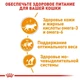 Вологий корм Royal Canin INSTINCTIVE IN JELLY (Желе) для дорослих кішок 85 г (9003579309513) - зображення 4