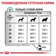 Сухий корм Royal Canin SKIN CARE ADULT DOG для дорослих собак при захворюванні шкіри 2 кг (3182550797375) - зображення 3