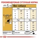 Сухой корм Royal Canin SCHNAUZER ADULT для взрослых собак породы Шнауцер 7.5 кг (3182550813020) - изображение 3