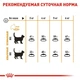 Сухой корм для кошек Royal Canin HAIR&SKIN CARE поддержание здоровья кожи и шерсти 400 г (3182550721721) - изображение 3
