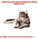 Сухой корм Royal Canin MAINECOON ADULT для взрослых кошек породы Мейн Кун 10 кг (3182550710664) - изображение 5