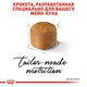 Сухой корм Royal Canin MAINECOON KITTEN для котят породы Мейн Кун 4 кг (3182550770958) - изображение 5
