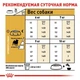 Сухой корм Royal Canin PUG ADULT для взрослых собак породы Мопс 1.5 кг (3182550752404) - изображение 3