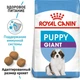 Сухой корм Royal Canin GIANT PUPPY для щенков Гигантских пород 15 кг (3182550707046) - изображение 2