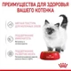 Вологий корм Royal Canin KITTEN INSTINCTIVE IN GRAVY (Соус) для кошенят 85 г (9003579308943) - зображення 3