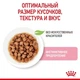 Вологий корм Royal Canin KITTEN INSTINCTIVE IN GRAVY (Соус) для кошенят 85 г (9003579308943) - зображення 5