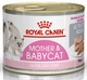 Влажный корм Royal Canin BABYCAT INSTINCTIVE Cans для кошек в период лактации и новорожденных котят (Паштет) 195 г (9003579311660) - изображение 1