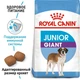 Сухий корм Royal Canin GIANT JUNIOR для цуценят Гігантських порід 15 кг (3182550707077) - зображення 2
