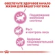 Сухой корм Royal Canin KITTEN STERILISED для стерилизованных котят 4 кг - изображение 5
