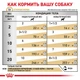 Вологий корм Royal Canin URINARY S/O MODERATE CALORIE DOG (Кусочки в соусе) для дорослих собак схильних до набору зайвої ваги, сприяє розчиненню струменевих каменів та запобіганню їх повторному утворенню 100 г (9003579010129) - зображення 3