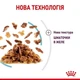 Влажный корм Royal Canin SENSORY FEEL JELLY (Желе) для взрослых кошек привередливых в питании 85 г (9003579018996) - изображение 3