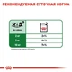 Влажный корм Royal Canin MINI ADULT для взрослых собак Мелких пород 85 г (9003579008256) - изображение 4