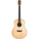 Акустична гітара Washburn ELEGANTE S24S - зображення 1