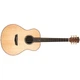 Акустична гітара Washburn ELEGANTE S24S - зображення 2