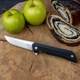 Ніж складаний Ruike Hussar P121-B (A-015527) - зображення 12