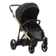 Прогулочная коляска Bebetto Rainbow Gold 01 - зображення 1