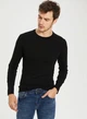 Мужской лонгслив LC Waikiki XXL Черный (LCWKnitwear-7288) - изображение 2