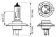 Автомобільна лампа Bosch H4 Pure Light 12V 55W цоколь P43T галоген - зображення 3