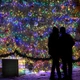Гірлянда вулична (зовнішня) Springos 30 м 500 LED CL0526 Mix - зображення 2