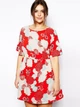 Чайное платье с китайским цветочным принтом Alice&nbsp;&&nbsp;You AS452976 XXXXL (10746XXXXL) Красный - изображение 1