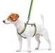 Шлея для собак Collar WAUDOG Nylon анатомическая c QR паспортом, рисунок "Colors of freedom" S (5140-4020Collar) - изображение 3