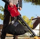 Садовый пылесос Einhell GC-EL 2500 E - изображение 2