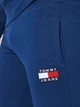 Спортивные штаны мужские Tommy Hilfiger 10963.4 S Электрик - изображение 4