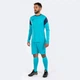 Комплект вратарской формы Joma PHOENIX GK бирюзово-темно-синий M 102858.013 - изображение 3