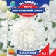 Семена Астра Королевский пион (726658) - изображение 2
