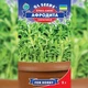 Семена Кресс-салат Афродита Florium (716139) - изображение 2