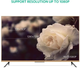 Коаксиальный видеокабель для монитора UGREEN VGA SVGA HD15 2 м Black (DV101) - изображение 5