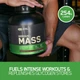 Гейнер Optimum Nutrition Serious Mass USA 2720 г (4384304402) - изображение 6
