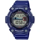 Мужские часы CASIO WS-1300H-2AVEF - изображение 1