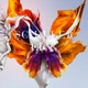 Виниловая пластинка Schiller - Epic (White) - изображение 2