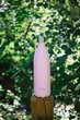 Пляшка (термо) Qwetch 1L PASTEL Rose (QD3708) - изображение 2