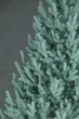 Штучна ялинка Arts Pine Віденська-2 250 см Поліпропілен з металевою підставкою Блакитний (SG-6190) TRG-165496 - зображення 10