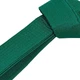 Пояс для кимоно Champion CO-4075 7, длина 300см зеленый - изображение 2