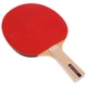Набор для настольного тенниса DUNLOP RAGE DL679212 2 ракетки 3 мяча сетка чехол - изображение 4