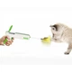 Інтерактивна іграшка-пістолет для котів REBOUND CAT GUN з кулькою та пір’їнкою, зелено-біла — дражнилка для активних ігор, розвитку спритності та зняття стресу - изображение 9
