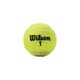 Мяч для большого тенниса WILSON CHAMPIONSHIP WRT110000 4шт салатовый - изображение 1