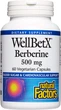 Natural Factors WellBetX Berberine 60 капсул (4384304585) - изображение 1