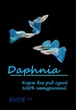 Корм для риб Дафнія суха Буся Daphnia. Пакет 20г - зображення 1