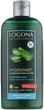 БИО-шампунь увлажнение и защита для сухих волос с Алоэ Вера - Logona Hair Care Shampoo 250ml (253933-136950) - изображение 1