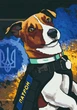 Картина по номерам Riviera Blanca Пес Патрон 28x40 см (RB-0475) - изображение 4