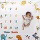 Фотопеленка для фотосессии новорожденного арт 5070 - изображение 1