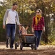 Прогулянковий візок Evenflo Pivot Xplore All-Terrain Stroller Wagon Gypsy, 032884198252 - зображення 14